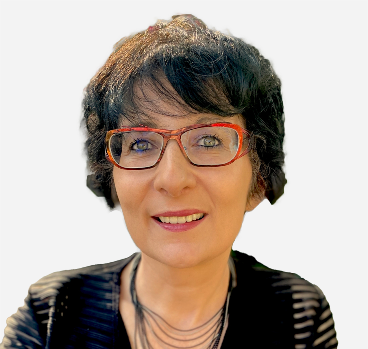 Karine Gros Assistant Professor at the University of Paris Est Creteil